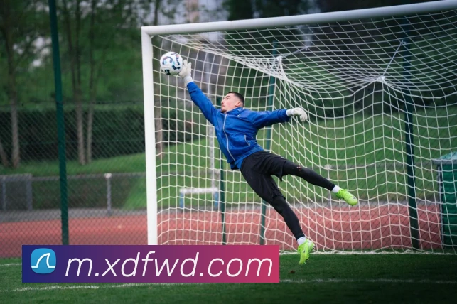 问鼎官网入口平台生态图