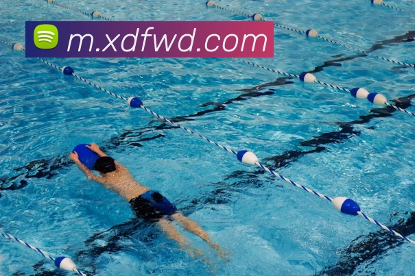 问鼎官网入口全站App